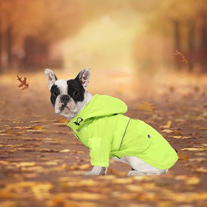 Morezi Dog Zip Up Raincoat with Reflective Buttons, Rain/Water Resistant, Adjustable Drawstring, Removable Hood, Raincoats with Legs 8lbs to 80lbs Available Light Green XL