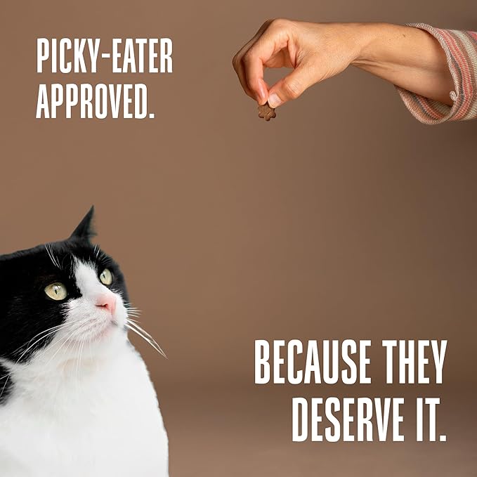 Whole Life Cat Living Treats for Cats – Human Grade Probiotics for Gut Health & Sensitive Stomachs, Natural Digestive Support, Healthy Snacks - Chicken & Yogurt, 1.5 Oz (Pack of 1)