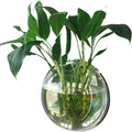 YUHOME Home Decoration Wall Mount Fish Tanks Goldfish Bowl Acrylic Hanging Aquariums Flowerpot Flower Vase, 150mm diameter & type 1