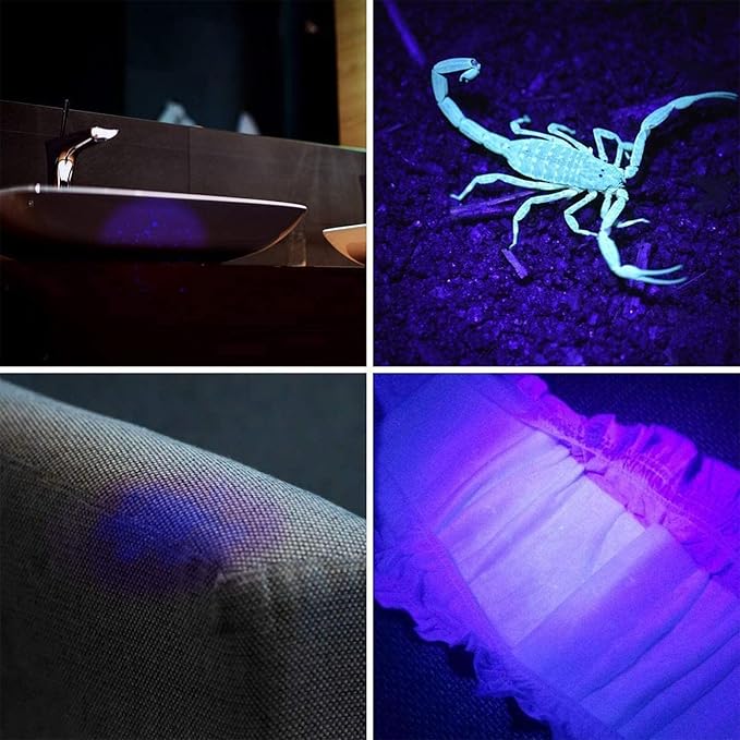 Black Light Flashlight, 21pcs LED Pet Urine Detector Light for Spot Detection, Outdoor Exploration, Portable Black Light Mini Flashlight for Pet Urine, Scorpion Hunting