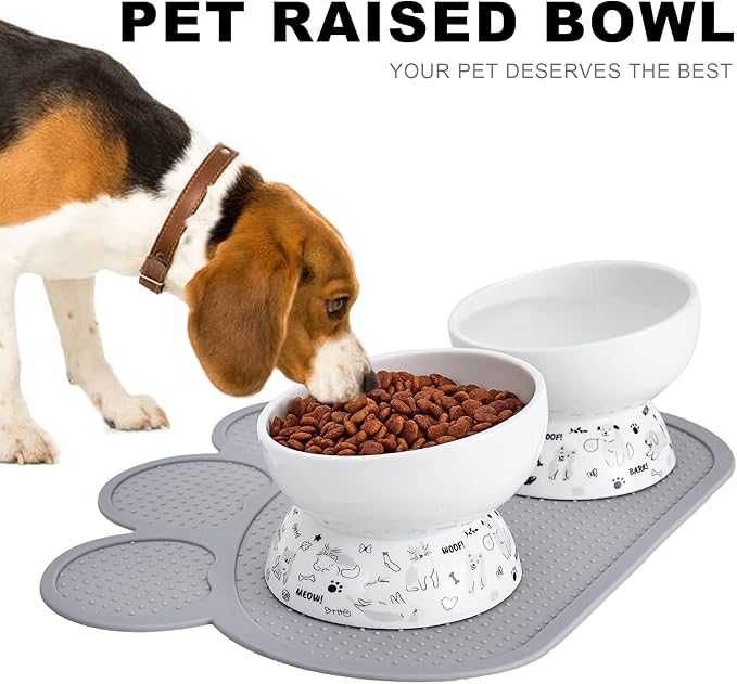 Ceramic Raised Cat Bowl Set | Elevated Food and Water Bowls for Cats and Small Dogs | 2 Pack Tilted With Anti-Slip Silicone Mat (Gray)