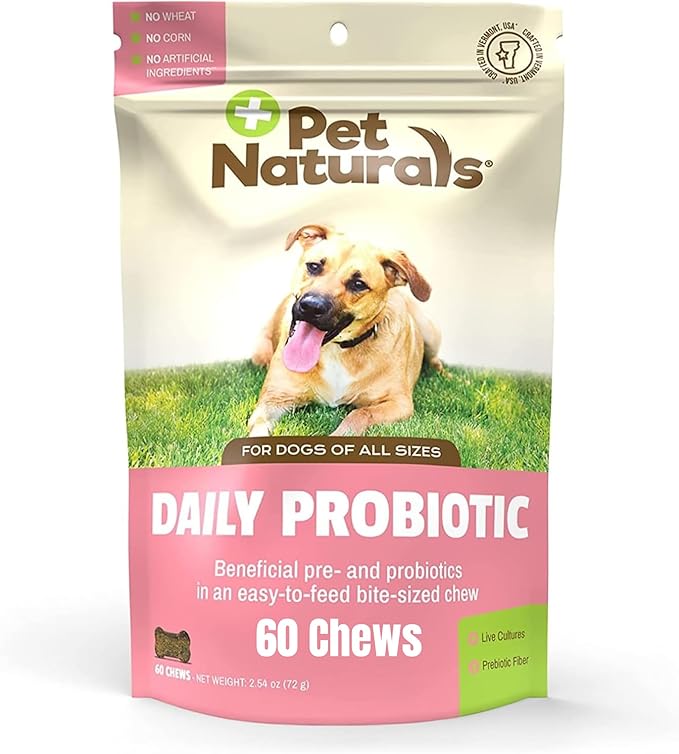 Pet Naturals Probiotics for Dogs – 60 Soft Chews, Dog Probiotic Chews for Digestive & Gut Health Support, 120M CFUs + Prebiotics, Immune Support for Occasional Upset Stomach, Duck Flavor, All Breeds