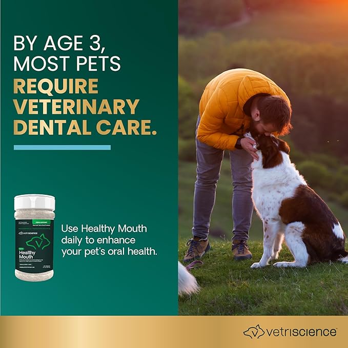 VetriScience Dental Care Powder for Dogs & Cats – Helps Reduce Plaque & Tartar Buildup, Support Clean Teeth & Fresher Breath, Clinically Tested, Vet-Formulated Oral Care Supplement, 4.2 oz