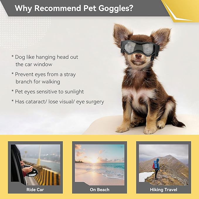 NAMSAN Dog Goggles Small Breeds, UV Protection Pet Sunglasses for Puppy, Windproof Dust-Proof, Adjustable Elastic Straps, Outdoor Driving Driving Cycling Small Dog Eye Protection, Black