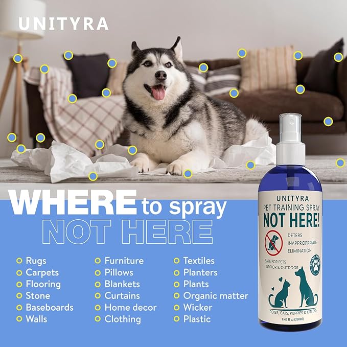 Not Here Spray for Dogs, Cats & puppies– Pet Urine & Chewing Deterrent – Indoor & Outdoor Pee Repellent Spray– Stops Peeing, Pooping – Potty Training & Behavior Corrector for Furniture Carpet & Floors