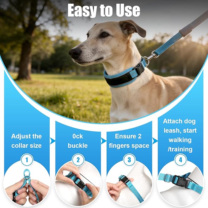 Lightweight Prong Collar for Dogs, Reflective No Pull Dog Collar | Adjustable Size Dog Pinch, Breathable Woven Fabric Air Grid Technology, Martingale Collar for Dogs Training(Blue-XL)