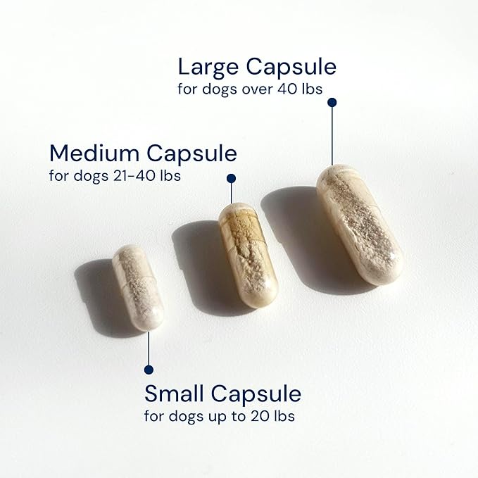 Animal Biome Gut Maintain Probiotics and Prebiotics for Dogs - Reduce Diarrhea Flareups - for Small Dogs (60 Capsules)