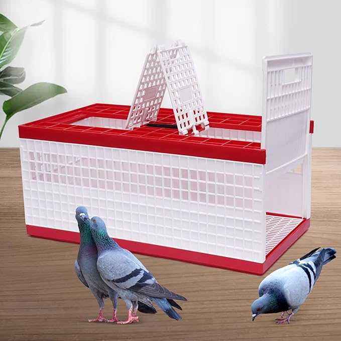 Pigeon Cage, Racing Pigeon Carrier Box Plastic Foldable Pigeon Cage with Handle Bird Training Basket Live Bird Shipping Boxes with 2 Side Doors 2 Top Doors for Training Release Competition