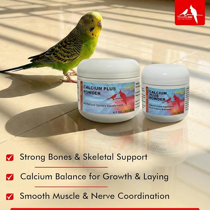 Morning Bird Calcium Plus Powder for Birds 4.5 oz – Calcium Supplement with Vitamin & Protein Powder – Supports Bone Health, Muscle Function & Digestive Balance – Easy-to-Mix Calcium Formula