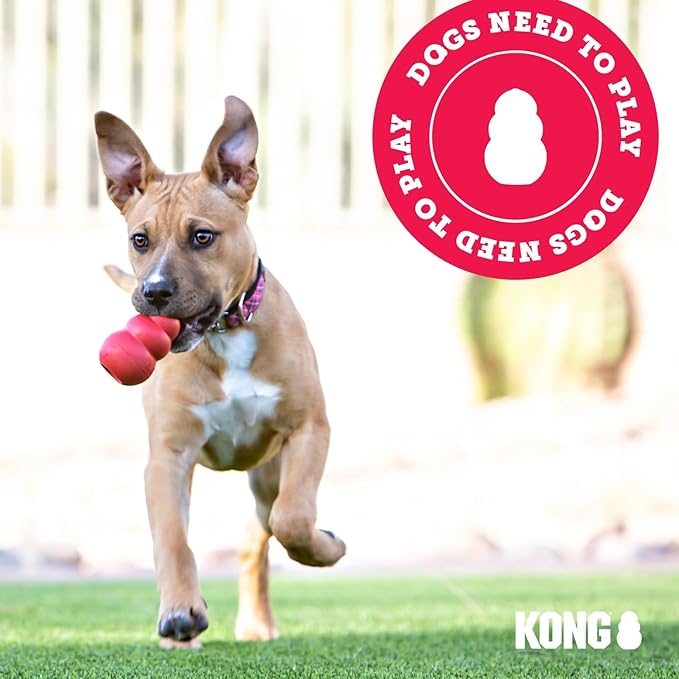 KONG Puppy Goodie Bone with Rope - Natural Rubber Bone with Cotton Rope - Teeth Cleaning Chew Toy for Growing Puppies - for XS Puppies - Blue