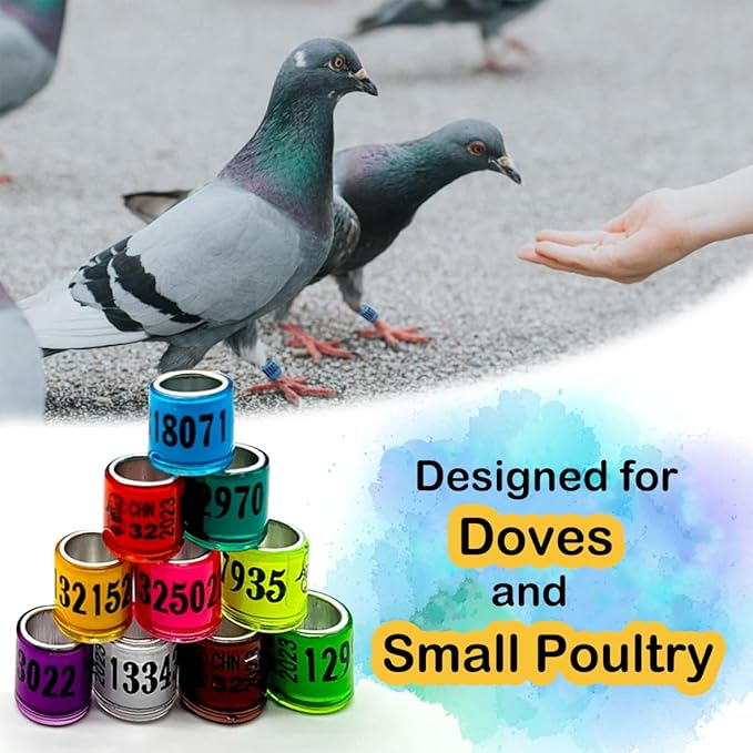 100Pcs 2026 Aluminium Pigeon Leg Rings | Dove Identify Band | Multicolor Training Birds Foot Ring