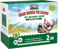 2LB Dried Black Soldier Fly Larvae for Chickens Treats Bulk, Non GMO BSF Larvae 85X More Calcium Than Dried Mealworms for Laying Hens, Chicken Worms for Wild Birds
