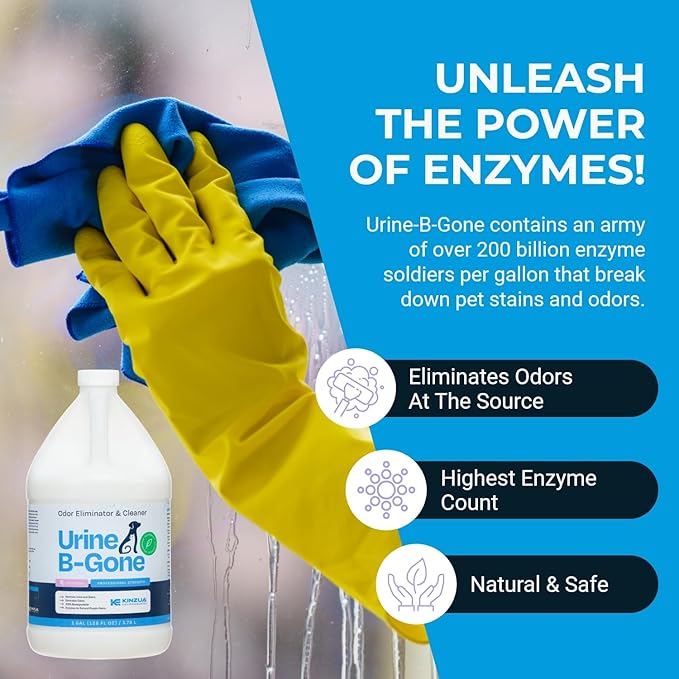 Urine B-Gone, Professional Enzyme Odor Eliminator & Pet Stain Remover, Human, Cat & Dog Urine Cleaner, Effective on Laundry, Carpets & More, Lavender Scent, 1 Gallon