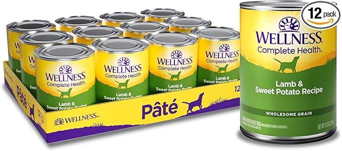 Wellness Complete Health Pate Adult Canned Wet Dog Food, Wholesome Grains, Natural, Lamb and Sweet Potato, 12.5 oz, Pack of 12 Cans