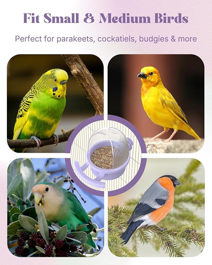 Pawfly No Mess Bird Feeder with Water Dispenser, Food and Water Bowl for Parakeet, Parrot, Cockatiel, Budgie and Lovebird