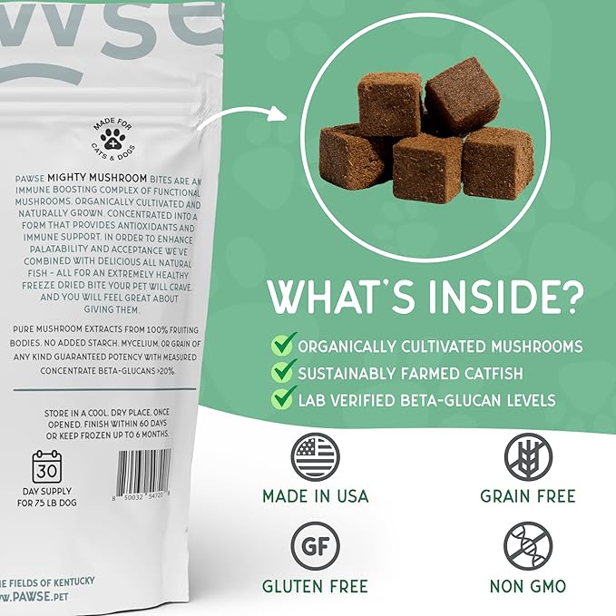 Mighty Mushroom Chews Supplement for Dogs & Cats | Blend of Turkey Tail, Reishi, Chaga, Maitake & Shiitake | for Immune System, Lumps & Bumps, Gut Health & Skin Support | 60 Chews