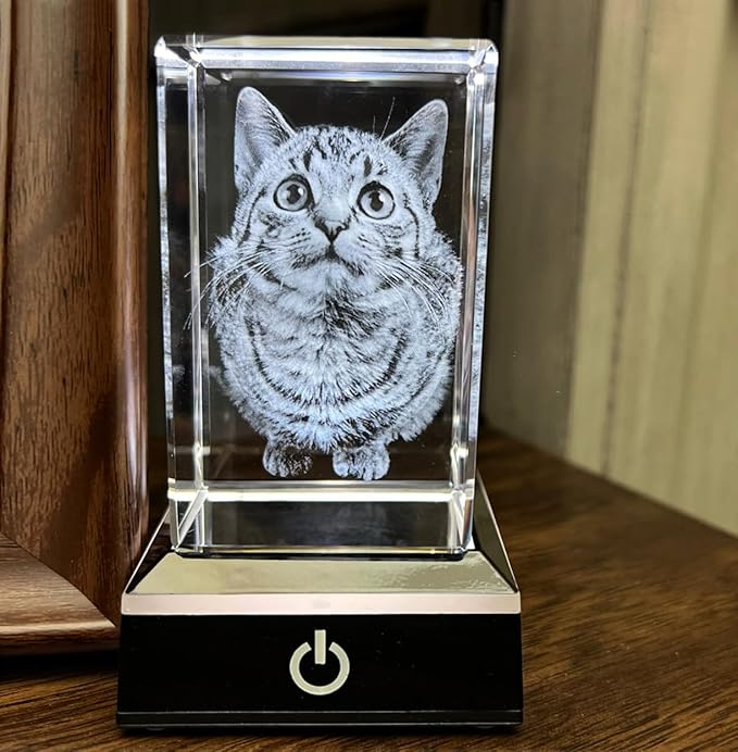 Dog Memorial Gifts for Pet Loss – Personalized Crystal Photo for Dogs & Cats, Custom Laser Etched Crystal (Small Portrait)