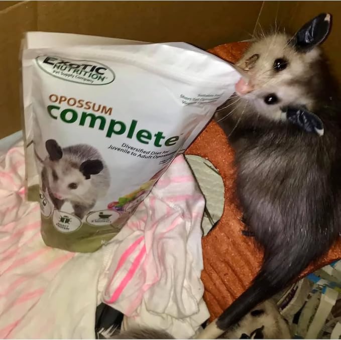 Exotic Nutrition Opossum Complete - Nutritionally Complete Healthy Pellet Diet - Food for Short-Tailed & Virginia Opossums (15 lb.)