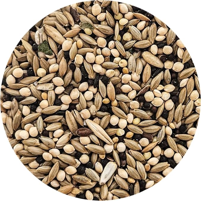 Canary Bird Food, 4 lbs Bag - Seed Mix for Canaries