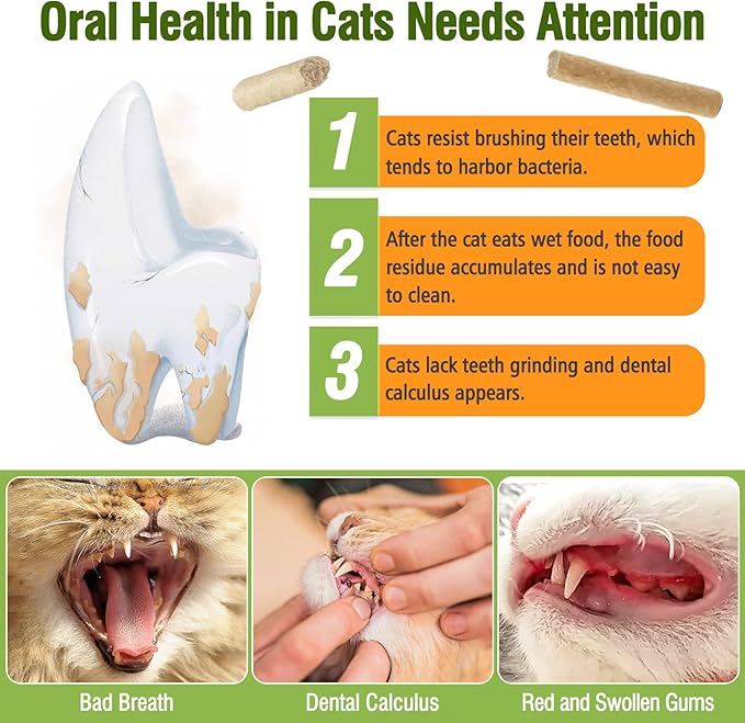 Freezed Drying Cat Chew Sticks Pigeon Flavor, Cat Teething Sticks for Teeth Cleaning Dental Care, Cats Chew Toys for Fresh Breath