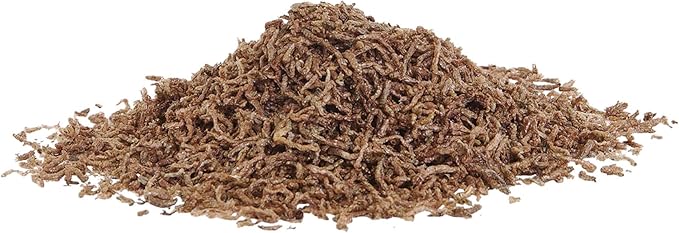 (3 Pack) Aqueon Betta Bloodworm Treat, 0.175 Ounce