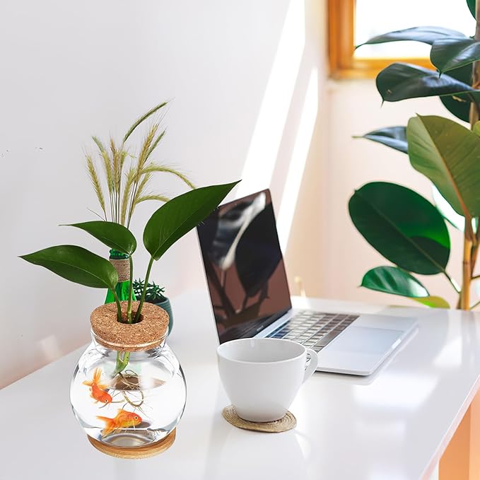 Desktop Fish Tank Small Glass Fish Bowl with Cushion 5.51X5.11X1.18In Hydroponic Plant Terrarium Betta Bowl for Home Office Decoration