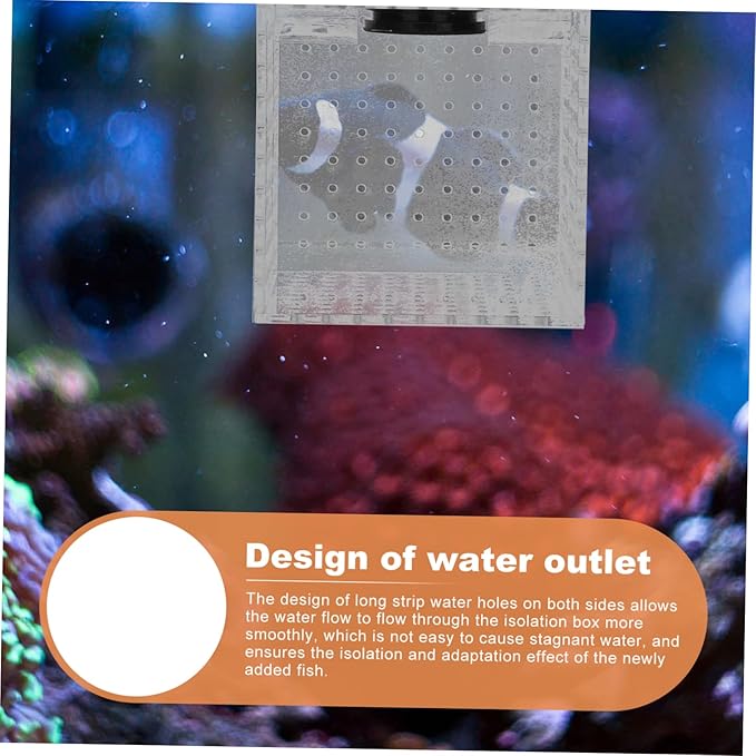 UPKOCH 1pc Fish Isolation Box Magnet Transparent Breeding Container for Aquarium for Fish and Shrimp Separation Tank Accessory