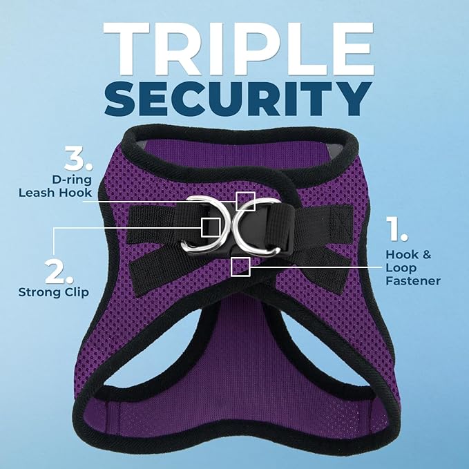 Best Pet Supplies Voyager Step-in Air Harness - All Weather Mesh, Reflective, No Pull Harness for Dogs, Cats - Secure with Hook & Loop Fastener, Buckle, Double D-Rings - Purple/Black Trim, XXS