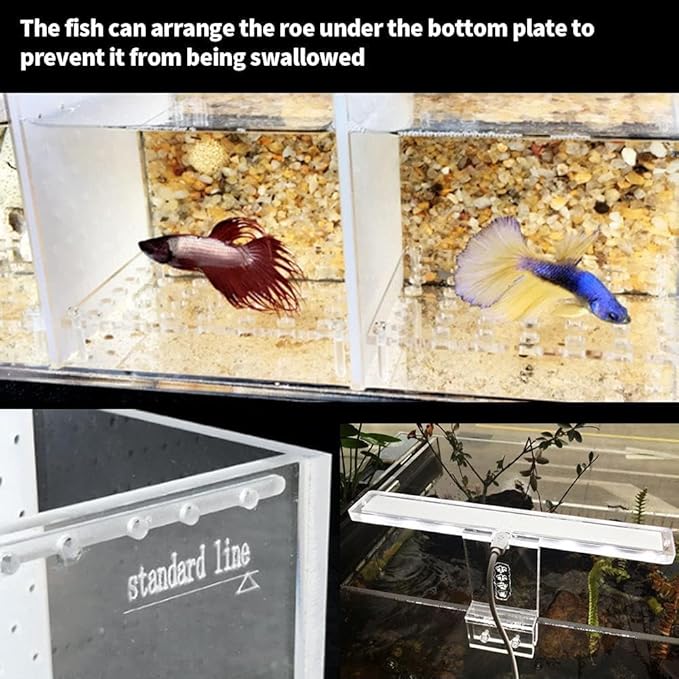 Acrylic LED Aquarium, Professional Betta Fish Tank, Transparent Aquarium Starter Kits, Ultra Clear Acrylic Fish Bowl, Rimless Desktop Betta Fish Tank,4 Rooms
