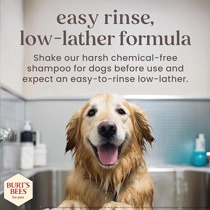Burt’s Bees for Pets Deodorizing Shampoo with Manuka Honey and Charcoal for Dogs - Naturally Derived Ingredients, 16 Fl Oz