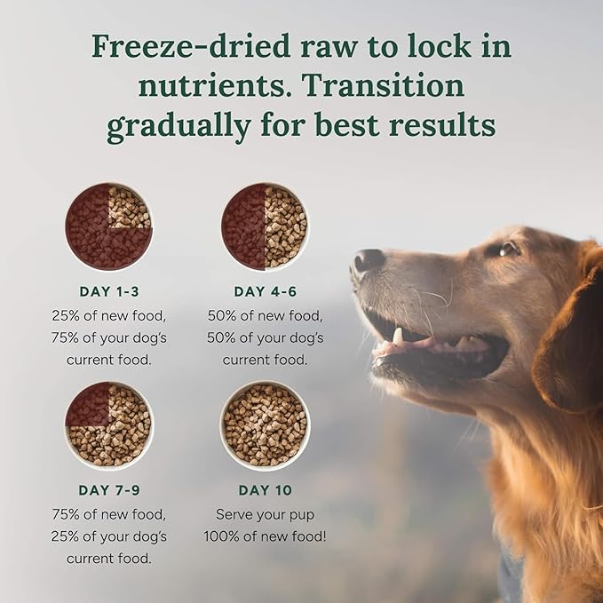 360 Pet Nutrition Freeze-Dried Raw Dog Food – Beef Recipe with Liver & Organs, High Protein with Omega-3s, Fruits, Veggies & Superfoods, Grain-Free, No Filler 2 x 48 oz – Made in USA