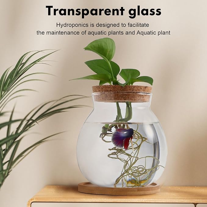 Desktop Fish Tank Small Glass Fish Bowl with Cushion 5.51X5.11X1.18In Hydroponic Plant Terrarium Betta Bowl for Home Office Decoration