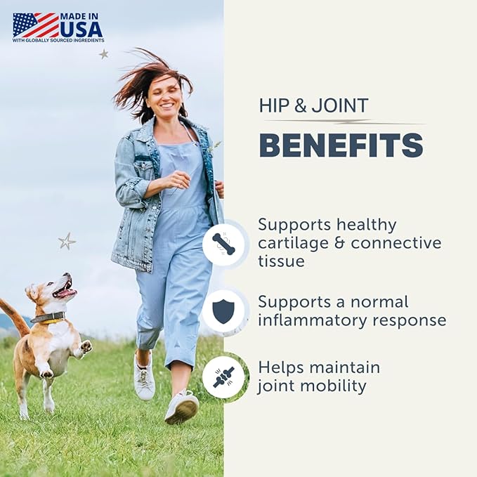 Hip & Joint - Joint Supplement for Dogs with Green Lipped Mussel, Eggshell Membrane and Curcumin - Veterinarian Formulated - 60 Day Large Dog Supply