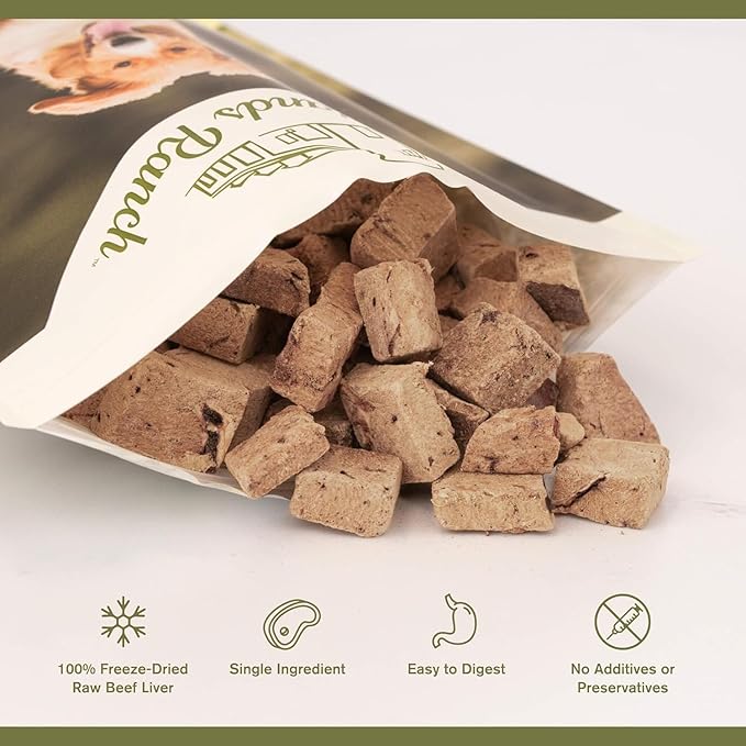 BADLANDS RANCH by Katherine Heigl – Superfood Bite Freeze-Dried Raw Beef Liver Dog Treats – High Protein Single-Ingredient Snacks for Training, Rewards & Daily Wellness – 4 oz (Pack of 4)