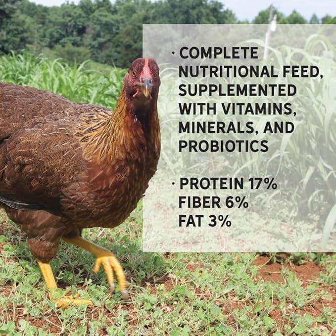 New Country Organics I Power Pellet Layer Feed 40 lbs I Layer Feed for Laying Hens I Soy-Free I 17% Protein I Certified Organic and Non-GMO I 40 lbs