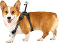 Insta360 GO 3/GO 3S Pet Harness Mount Size S