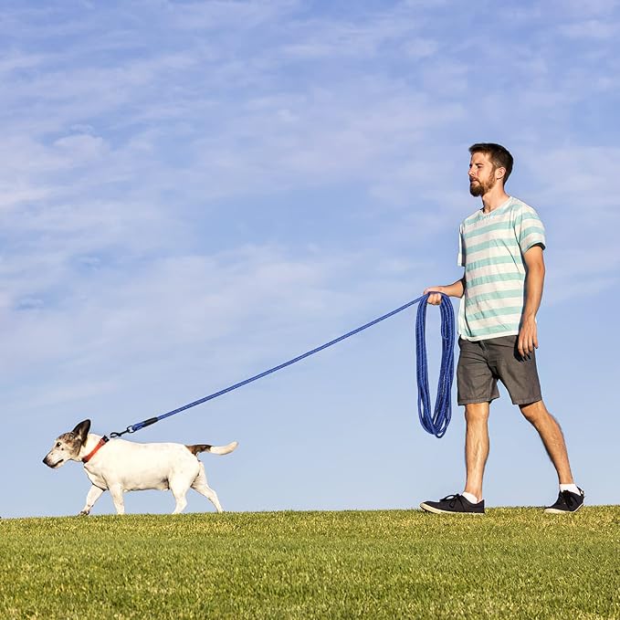 Long Dog Leash for Training 15Ft-Reflective Nylon Rope with Swivel Hook-Recall Agility Lead for Large Small Medium Dogs Outside Walking Hiking-Royal Blue Diam 1/2"