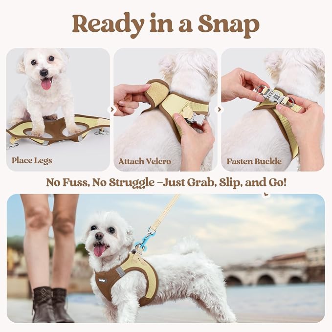 rabbitgoo Dog Harness Small Sized and Leash Set, Step in Soft Light Puppy Vest, Breathable Mesh Pet Harness, Reflective for Safe Easy Walking, Brown & Beige M