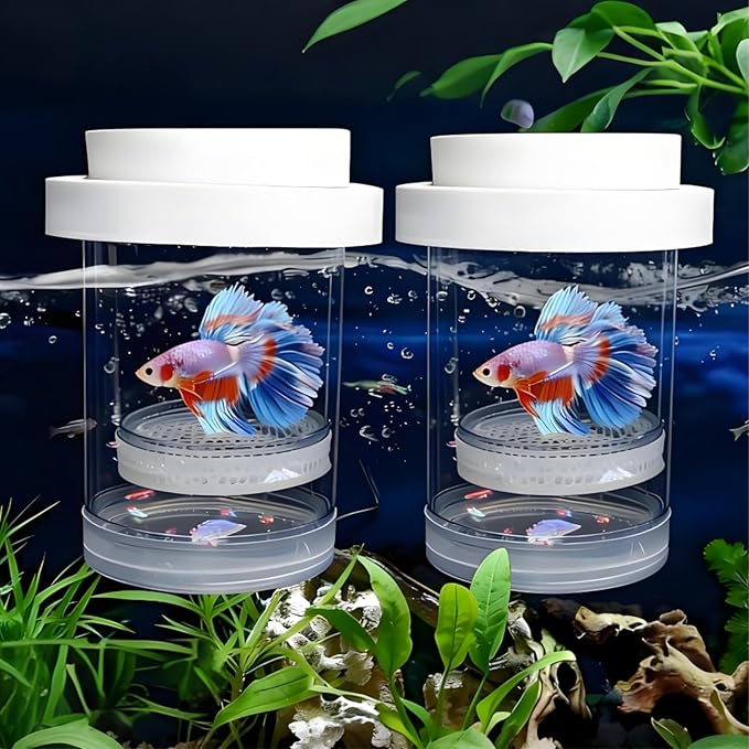 2 Pieces Breeder Box for Fish Tank, Floating Plastic Aquarium Isolation Box, Mesh Fish Nursery Separator Tank Hatchery Incubator for Shrimp, Betta, Clownfish, Guppy, Large 2-Piece Set