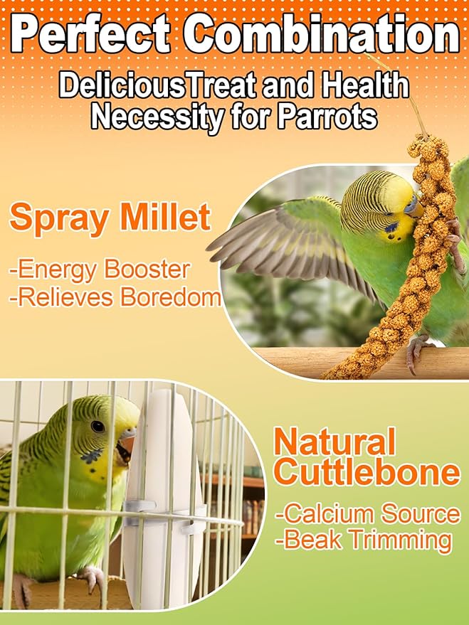 MEWTOGO Spray Millet & Cuttlebone Bird Treats Set - 2lb Hand Selected Golden Millet Treats for Parakeets Cockatiel Lovebirds Canaries Finches, Energy & Calcium Boost