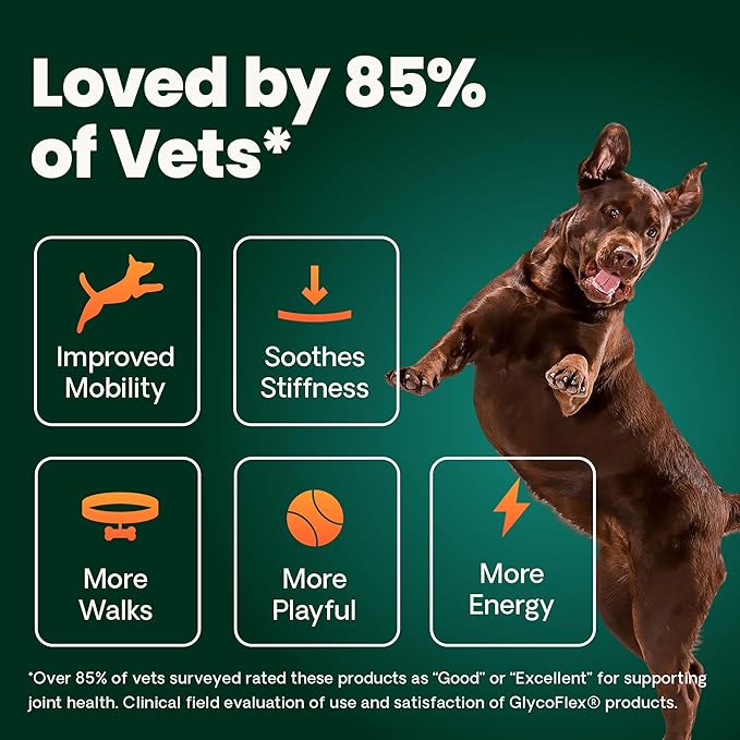 VetriScience Ultimate Strength Hip & Joint Supplement for Dogs, GlycoFlex Plus – MSM, Chondroitin & Green-Lipped Mussel Chews for Mobility, Flexibility, Comfort & Support, Bacon Flavor, 60 Cnt
