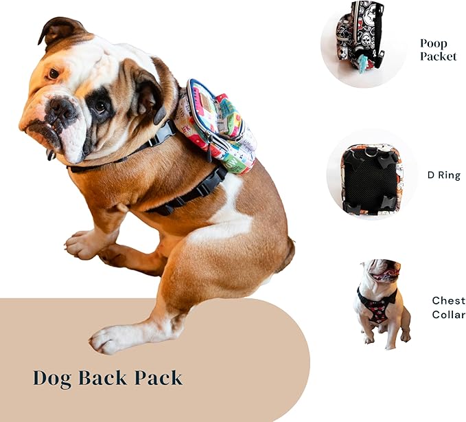 Pawlook Dog Backpack Harness – Street Smart | Waterproof, Adjustable, Breathable – Leash Attachment D-Rings, Poop Bag Pocket – Small & Medium Dogs – 8 Styles Traveller Small
