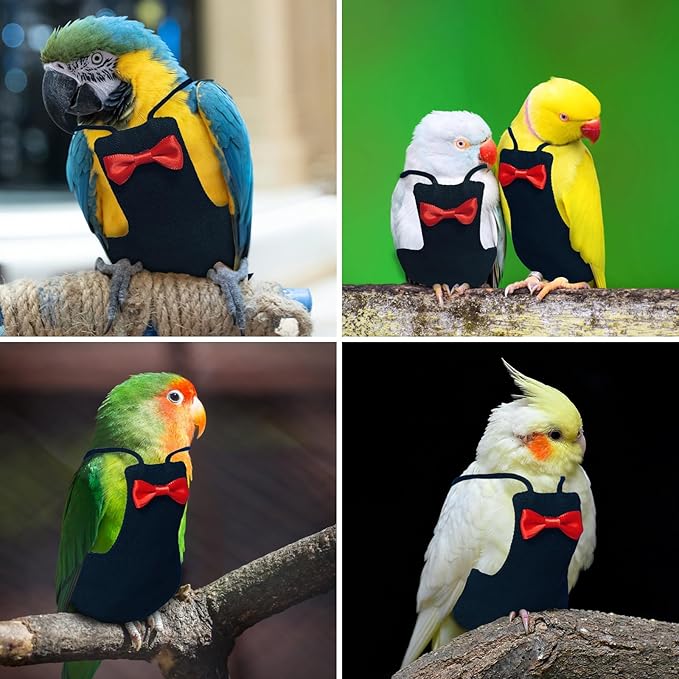 Bird Diaper Washable Reusable Parrot Flight Suit Nappies Protective Breathable Parrot Nappy Clothes for Parakeet, Macaw, Budgie, Canary, Cockatiel (Black, XXL)