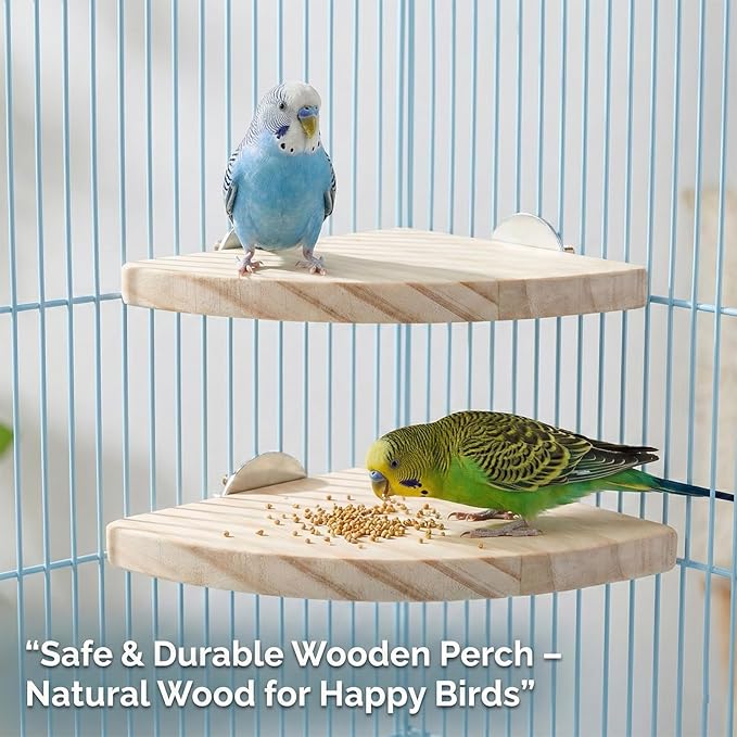 2 Pcs Bird Perch Platform Perch Birds Cages Accessories Flat Fan Shape Bird for Parakeet Conure Cockatiel Budgie Rat Chinchilla Gerbil Hamster (2 Size)