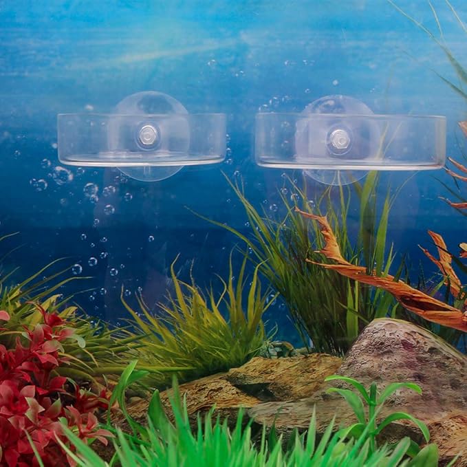 Senzeal 2PCS Shrimp Feeding Dish Glass Aquarium Fish Tank Reptiles Round Feeder Bowl with Suction Cup