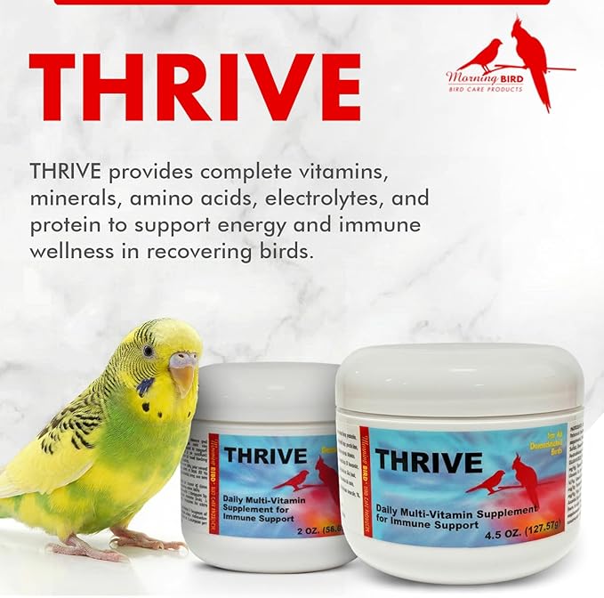 Morning Bird Thrive 4.5 oz – Daily Multi-Vitamin Bird Supplement for Immune & Recovery Support – Ideal for Sick, Injured, or Recovering Birds – Energy & Wellness Formula for Adult Birds