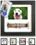 Dog Memorial Picture Frame with 5 Display Options- Dog Collar Memorial Frame Gift - Cat or Dog Pet Loss Gift for a Grieving Friend - Pet Remembrance Gift and Sympathy Photo Keepsake