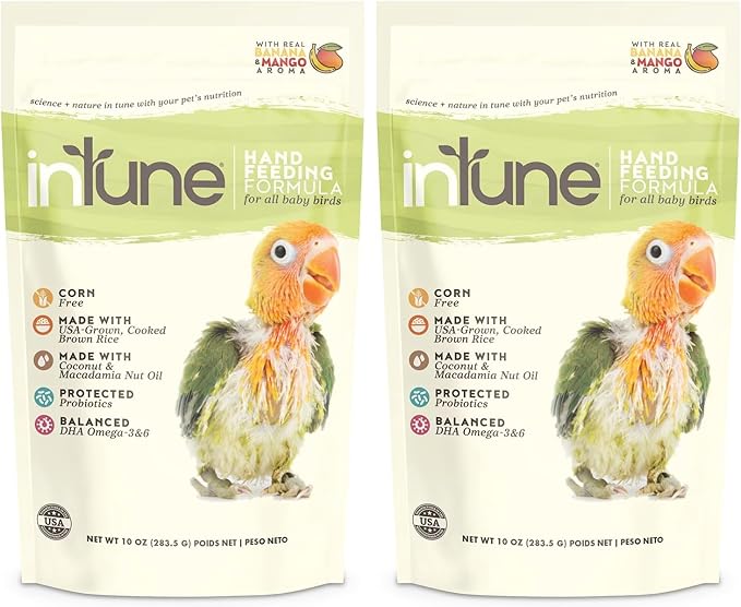 Intune Natural Hand Feeding Baby Bird Food, 10 Ounces (Pack of 2)