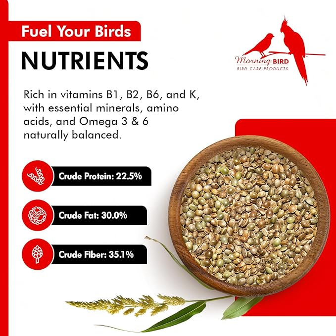 Morning Bird Hemp Seeds 4.5 lbs (3-Pack, 1.5 lbs Each) – High in Natural Protein, Healthy Fats, Omega 3 and 6 Fatty Acids, Delicious Natural Flavor, Supports Feather Growth & Overall Health
