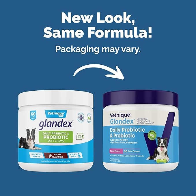 Vetnique Glandex Daily Probiotics for Dogs with Prebiotics to Support Gut Health with Fiber and Digestive Enzymes, Dog Probiotic Chews or Powders (60ct Chews, Bacon Chews)